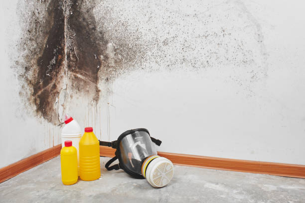 Mold Removal and Inspection in Lake Secession, SC