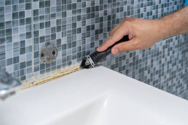 Best Residential Mold Removal  in Lake Secession, SC